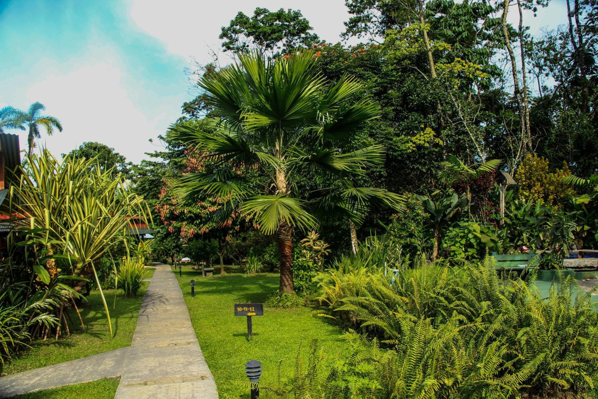 La Fortuna Catarata Eco Lodge חדר תמונה