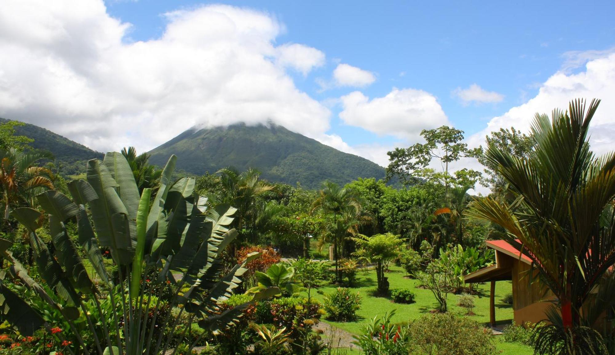 La Fortuna Catarata Eco Lodge מראה חיצוני תמונה