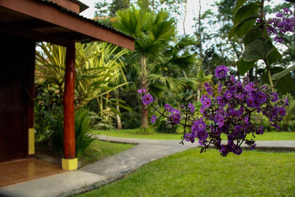 La Fortuna Catarata Eco Lodge מראה חיצוני תמונה